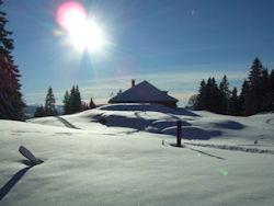 Jura farms in winter